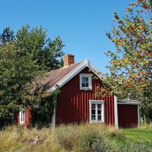 Pihakatsaus etänä – monimuotoisen pihan suunnittelu