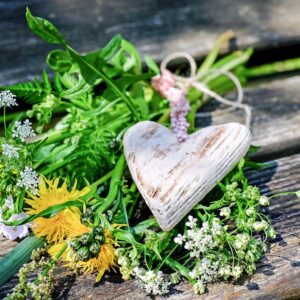 Kasviokaverin lahjakortti