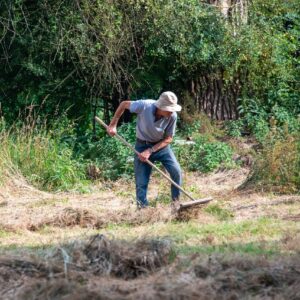 Niityn hoitokäynti – yksittäinen hoitopäivä pienelle niitylle