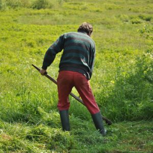 Hoitopalvelut ja kunnostustyöt