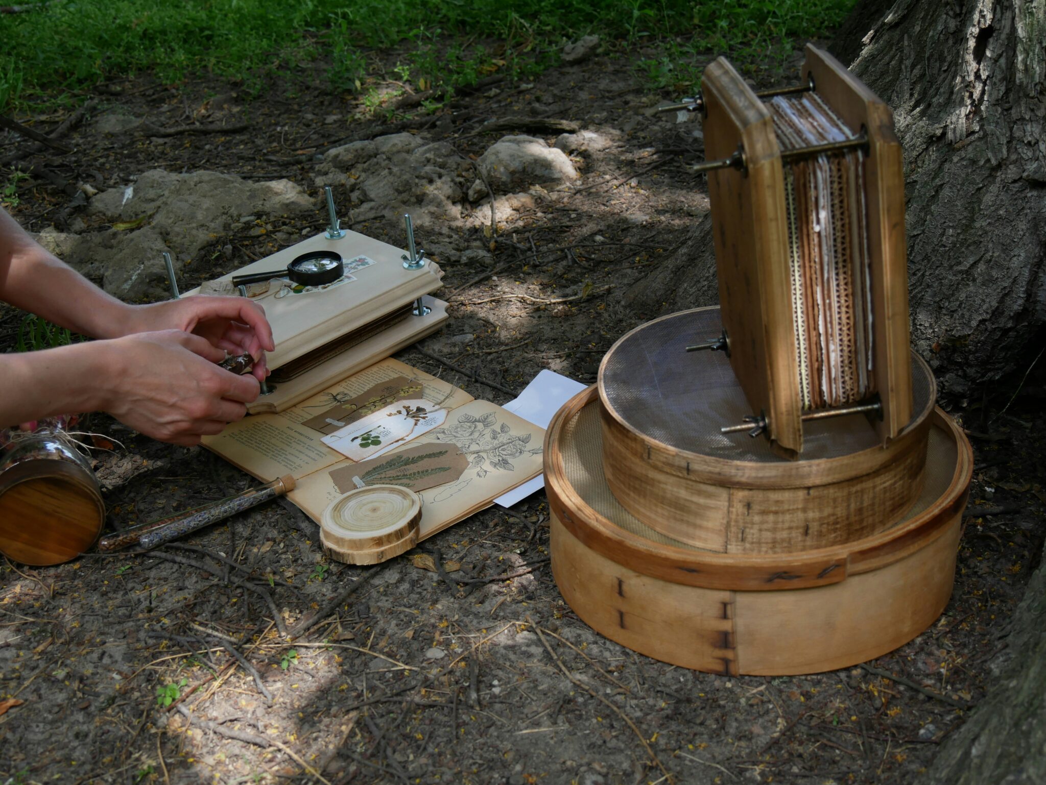 Kasvioharrastus käytännössä: kasvien prässäämistä ja tunnistamista metsäympäristössä
