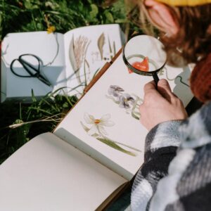 Kasviokaverin välineet