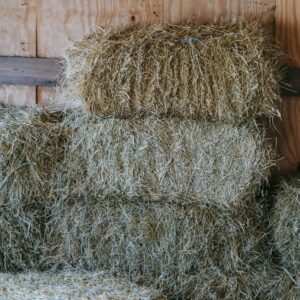 Seipäällä kuivattu luonnonheinä