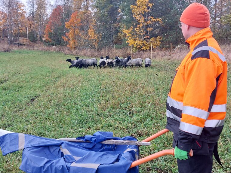 Elinvoimakeskus auttoi Niittyviisaan alkuun!