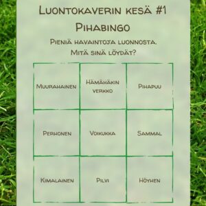 Luontokaverin ilmainen kesäbingo