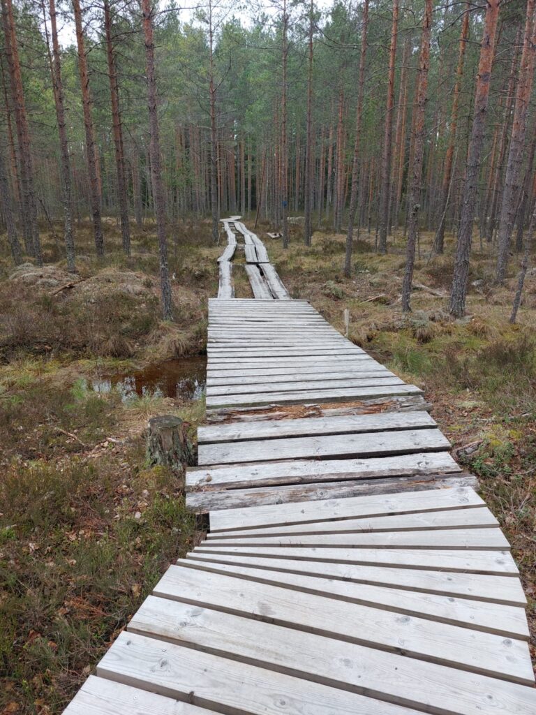 Luontokohteiden esteettömyys