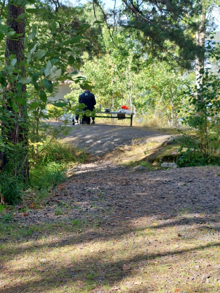 Esteettömyystietoa on, mutta voiko siihen luottaa?